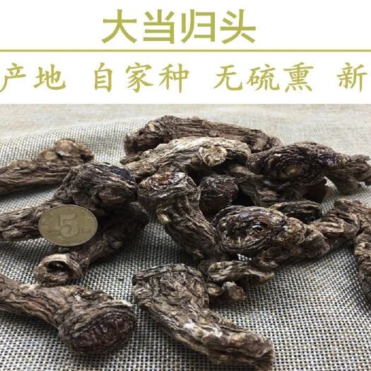 文山市云南当归  产地直销