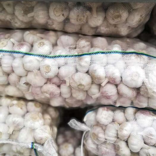 邳州市邳州大蒜 混级统货