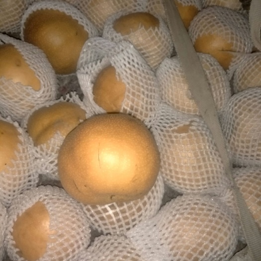 金湖县南水梨 85mm以上 450-500g 