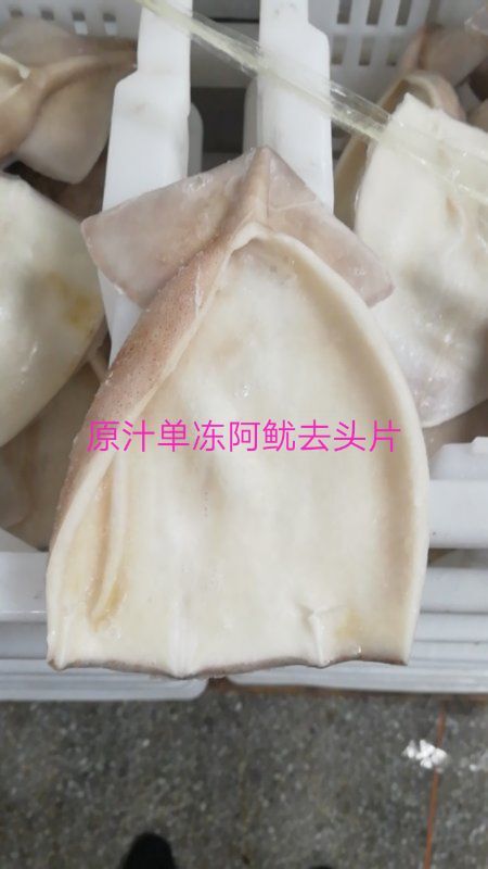 烟台阿根廷鱿鱼 