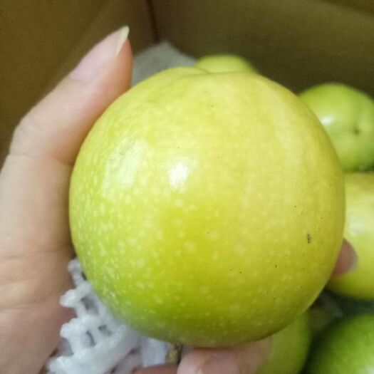 北海蜂蜜味黄金百香果