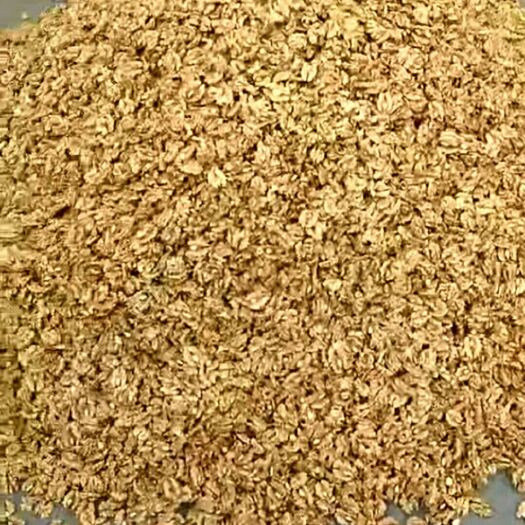 汾阳市核桃仁 6-12个月 