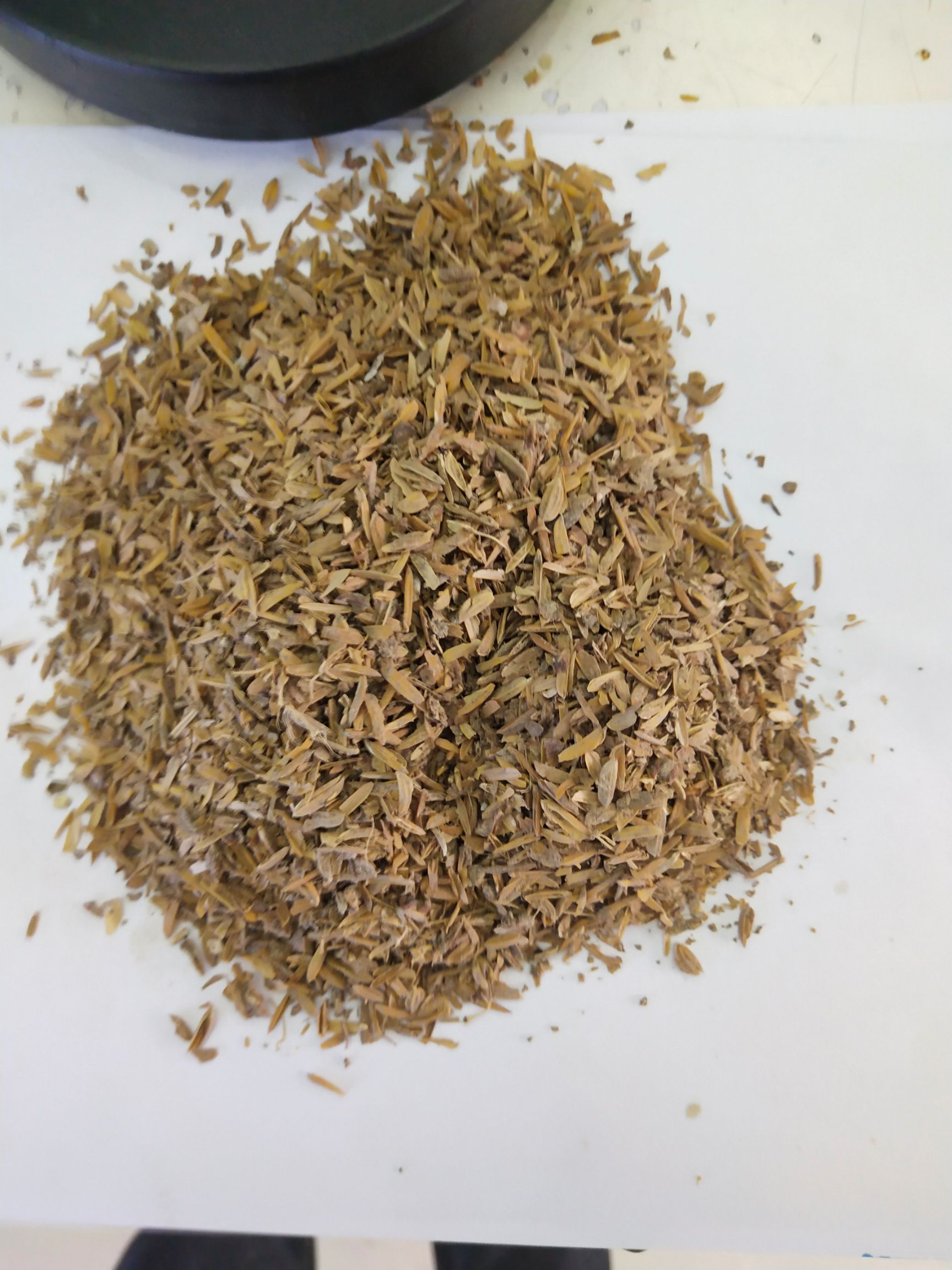 酒糟 白 牛羊饲料 猪饲料 鸭饲料 鹅饲料 水产饲料