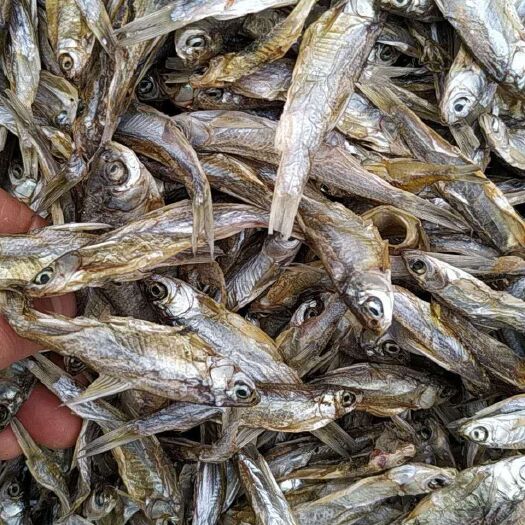 上饶小鱼干 日晒无盐鱼干白条干杂干鱼干宠物店专用