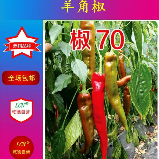 寿光市辣椒种子  羊角椒，黄绿色，乾德椒70