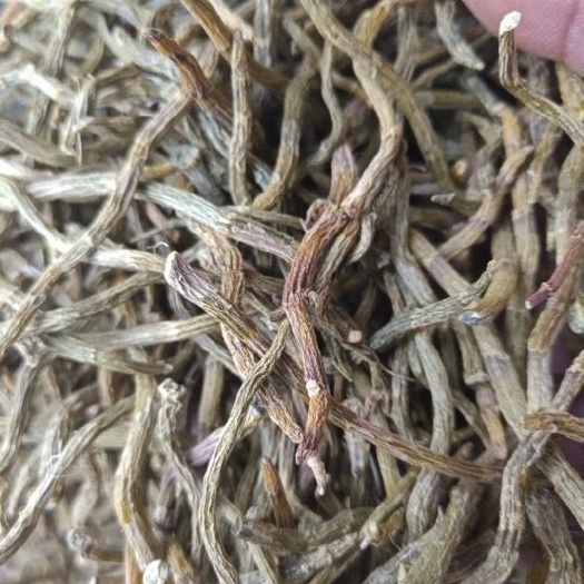 澜沧县铁皮石斛 