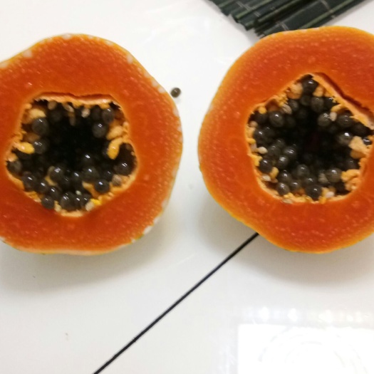 灵山县红心木瓜苗