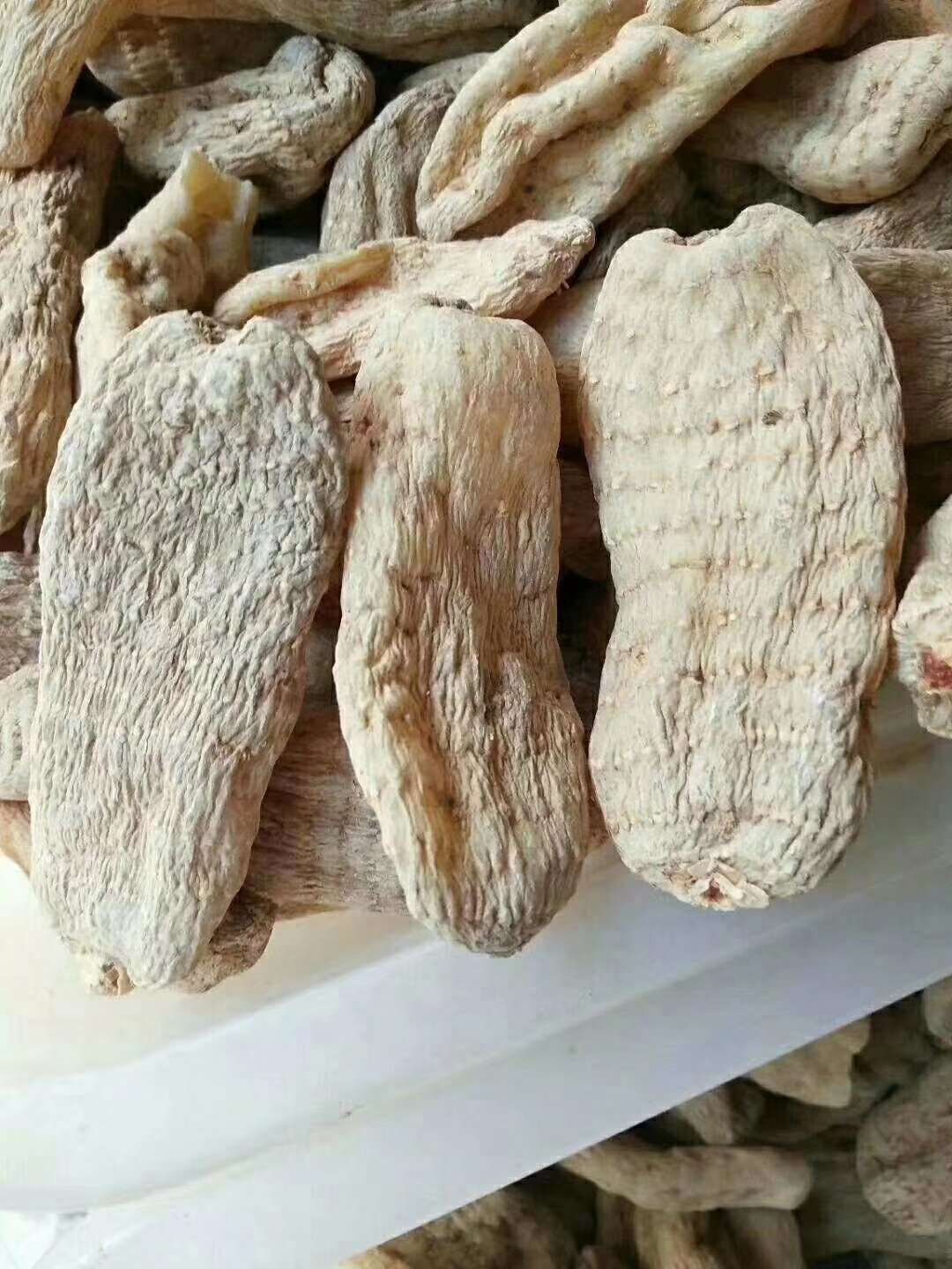 小草坝天麻 