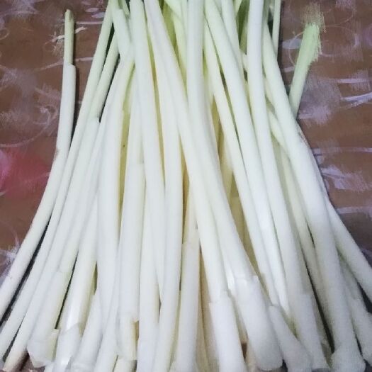 济南蒲菜 