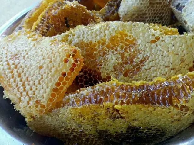 昌黎县土蜂蜜 散装 1年  