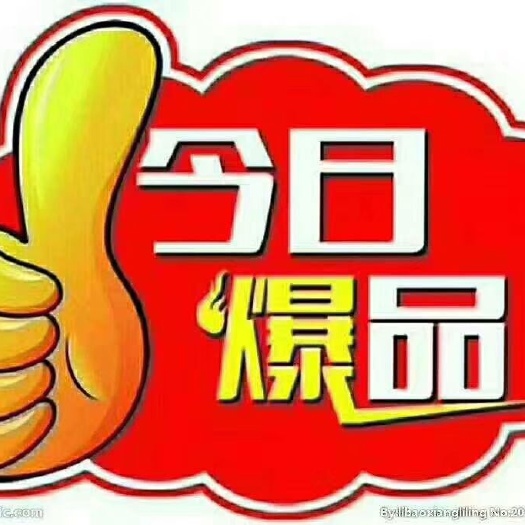 平邑县薄皮核桃苗 