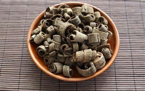 恭城县厚朴 