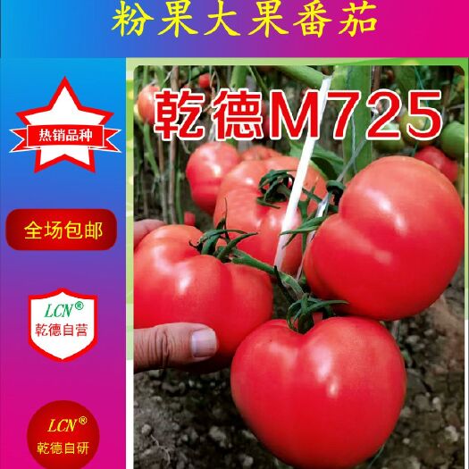 寿光市乾德M725 ≥96% 杂交种 ≥85% 