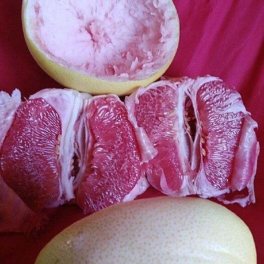梅州三红蜜柚苗