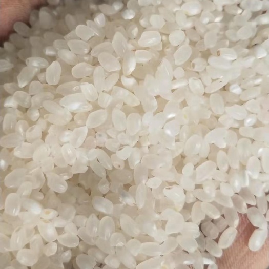 平罗县珍珠米  圆粒大米 二等品 一季稻 粳米