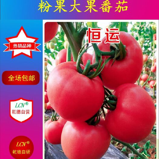 寿光市乾德恒运 ≥96% 杂交种 ≥85% 