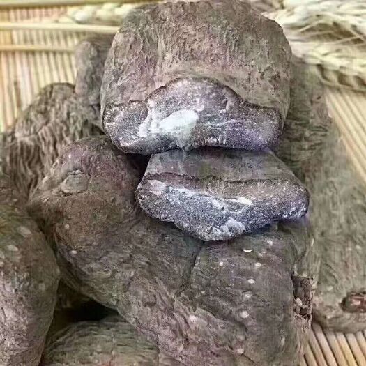 泸州天麻 