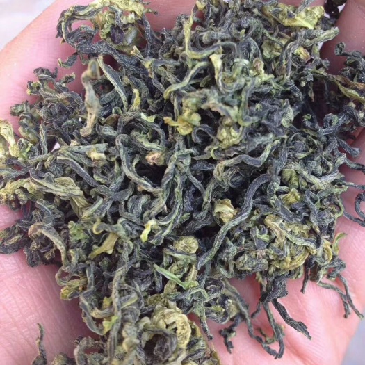 沛县宽叶费菜  散装 茶叶
