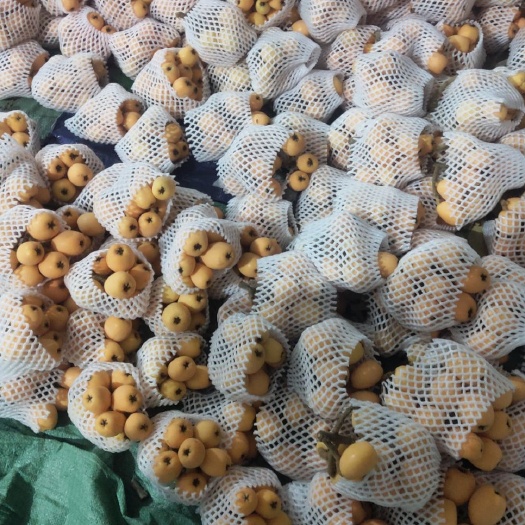 蒙自市蒙自枇杷 0.4 - 0.7两