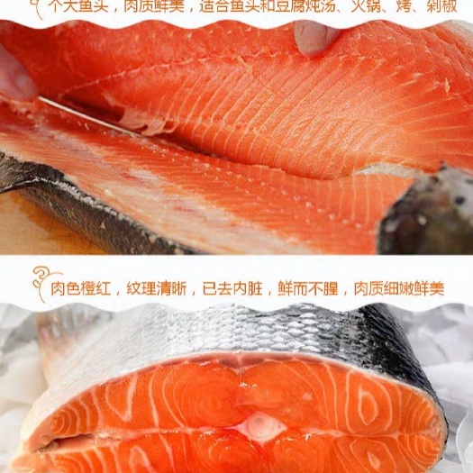 资兴市三文鱼 