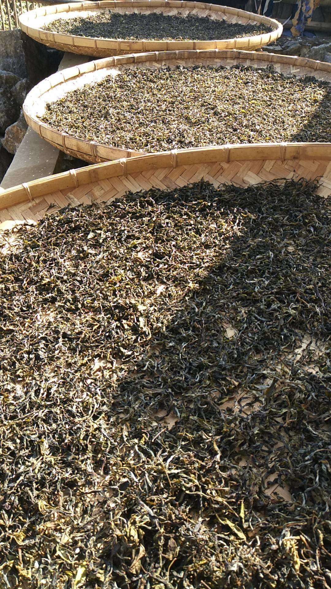 易武普洱茶 銅箐河古樹茶