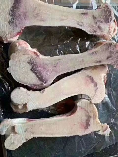 阳信县牛棒骨 
