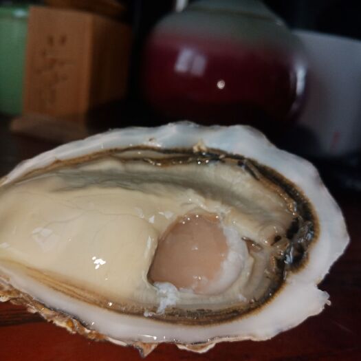 乳山市乳山生蚝三倍体二倍体支持各种验货各种批发专车社区团购直播带货