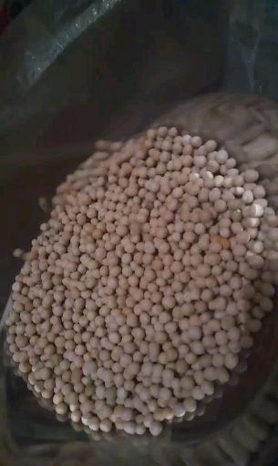 豌豆淀粉  碗豆淀粉