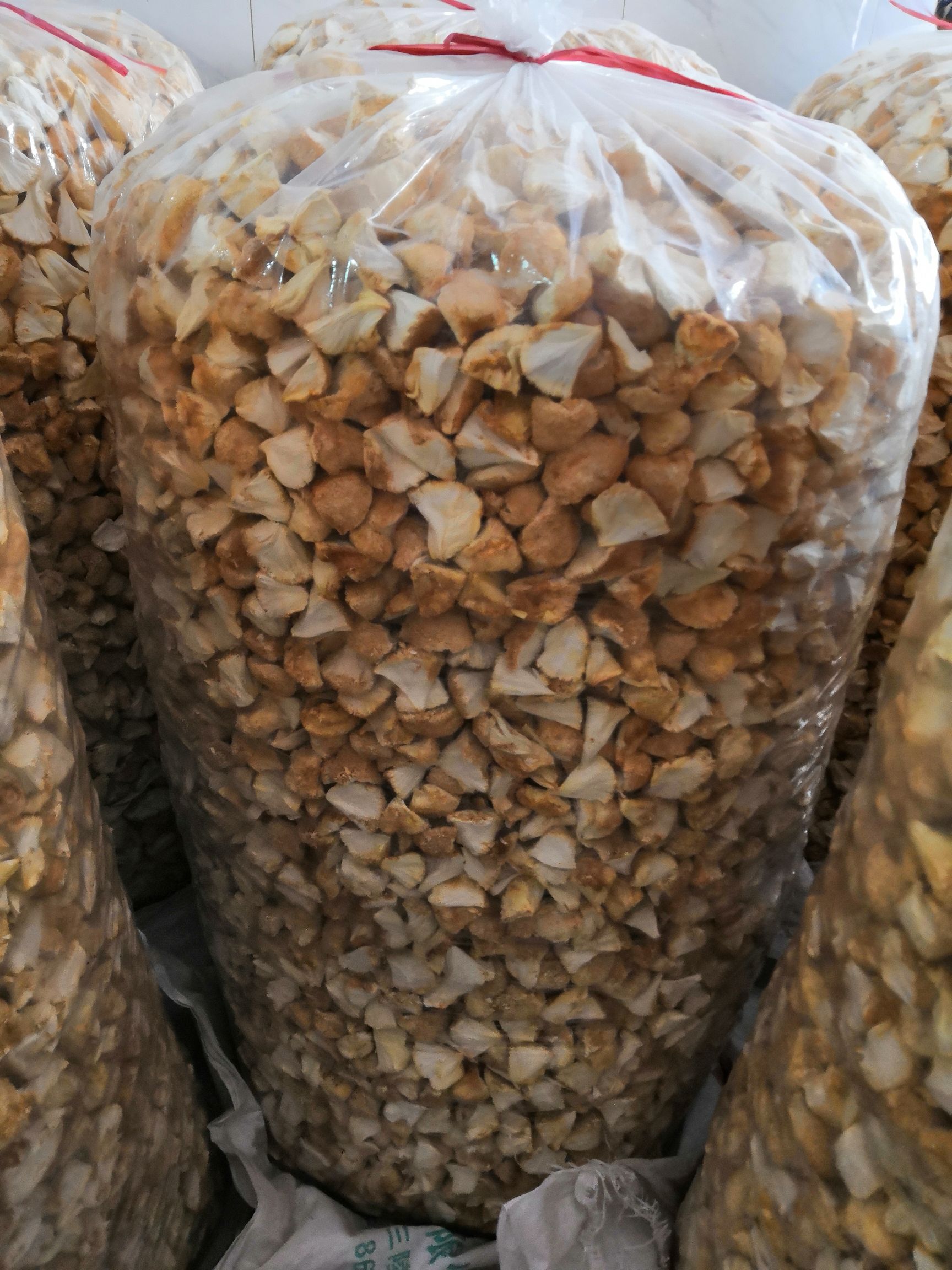 古田猴头菇 6cm以上 干猴头菇 