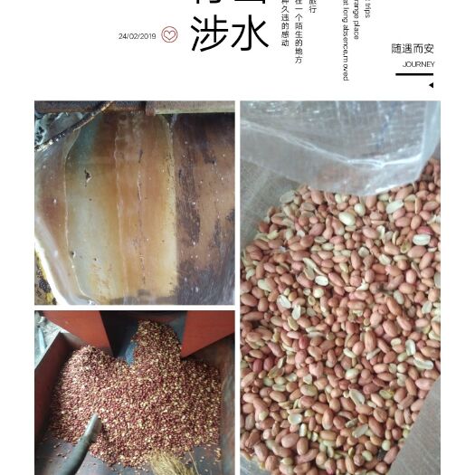 上饶压榨花生油 