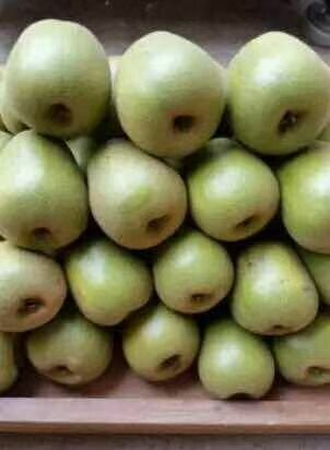 红心猕猴桃苗 嫁接大苗，种植第二年挂果，成活率90%以上