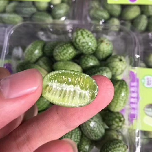 鄱阳县拇指西瓜种子
