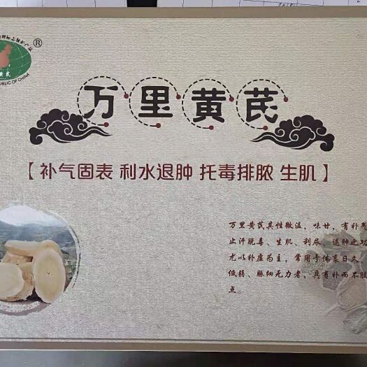 子洲县黄芪切片 