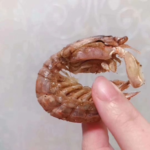舟山皮皮虾