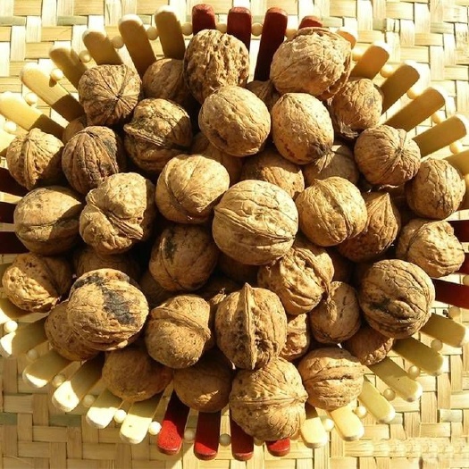 周至县 2斤1件包邮自家核桃孕妇坚果