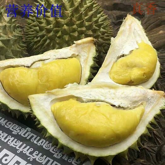 桐庐县猫山王榴莲 2 - 3公斤 80 - 90%以上 