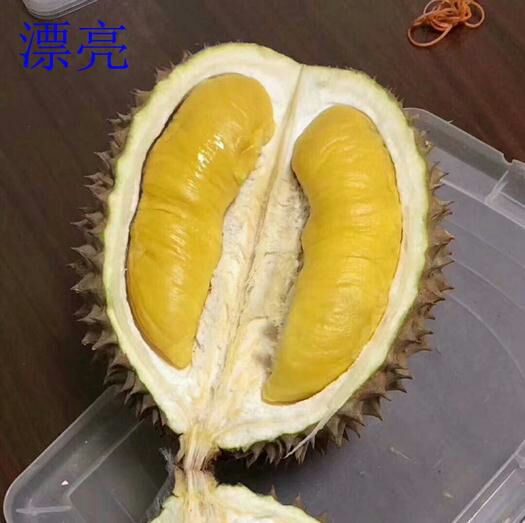 猫山王榴莲 2 - 3公斤 80 - 90%以上 