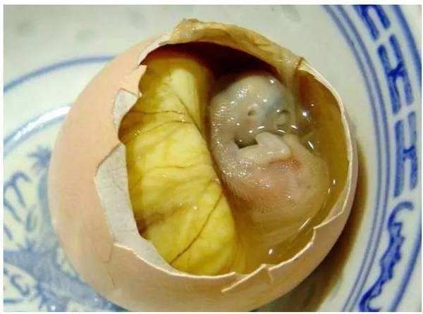 聊城毛蛋  十三天熟食活珠子营养丰富，鲜美可口，快递发货