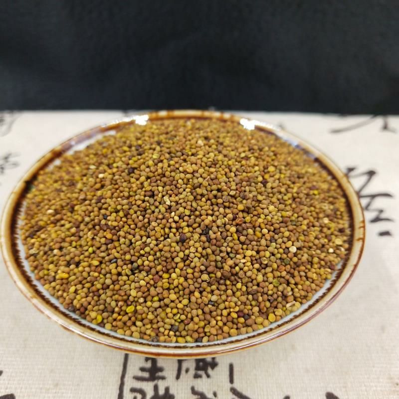 菟丝子 内蒙古 水洗可泡酒 补益肝肾 安胎明目