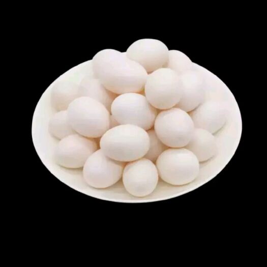 大冶市银羽王鸽子蛋 食用 箱装 