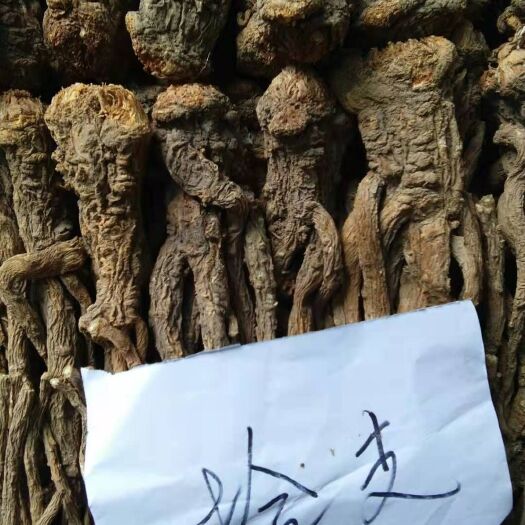 岷县岷当归