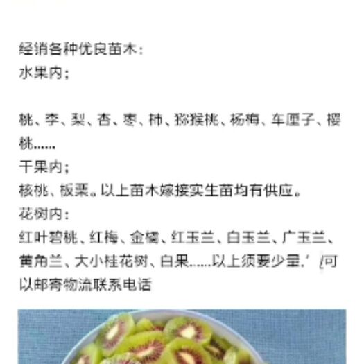 苍溪县翠冠梨苗 0.5~1米 