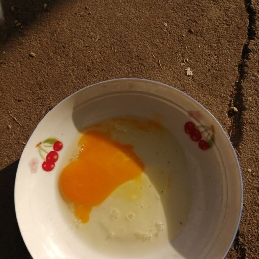 延吉市土鸡蛋 食用 简包装 