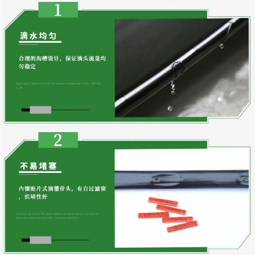 鄄城县贴片式滴灌带 
