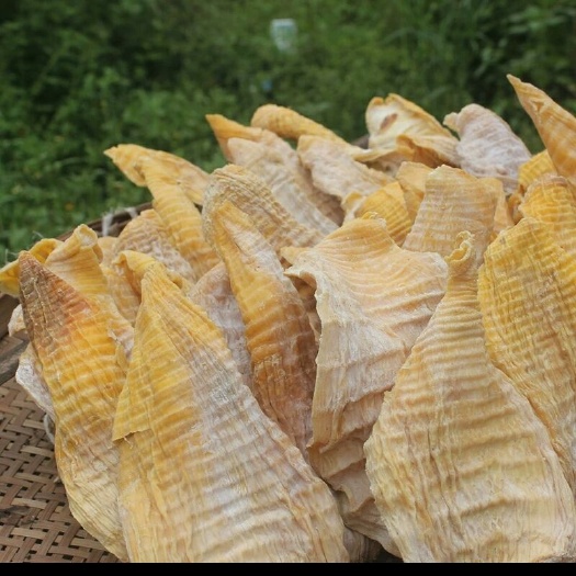 宜賓楠竹筍干，毛筍干，筍尖，嫩度好，產(chǎn)地批發(fā)，量大從優(yōu)！質(zhì)量保