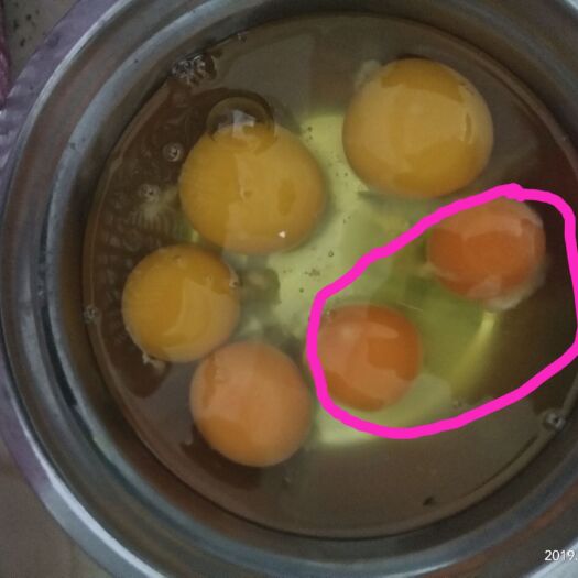 凤山县土鸡蛋 食用 箱装 