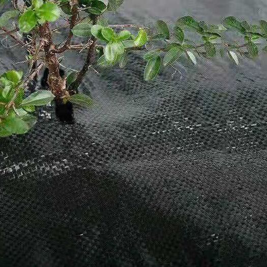 德州防草布 防草膜