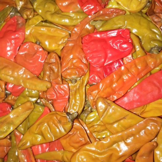 江口县酸辣椒 