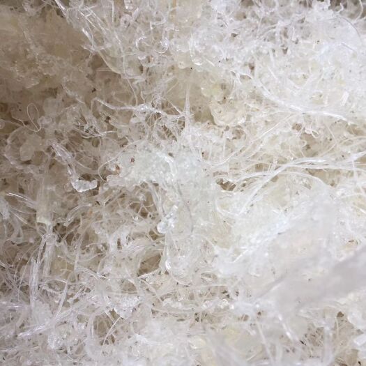 瑞丽市雪燕  拉丝雪燕
