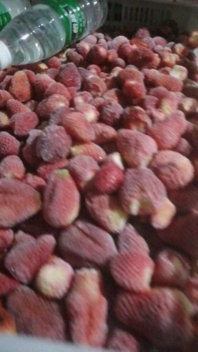 德昌县草莓速冻冷藏鲜草莓果汁果酱冻干草莓工厂原材料